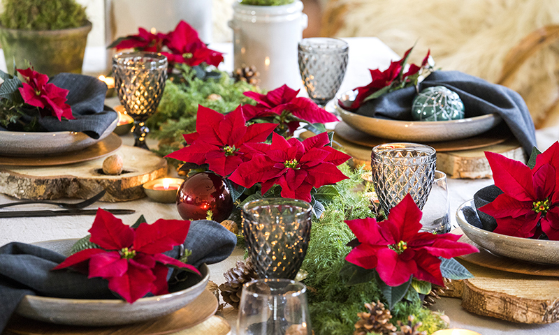 Πώς να διακοσμήσετε φέτος το γιορτινό σας τραπέζι με αλεξανδρινά!